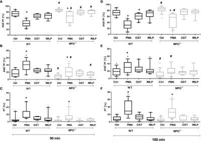 Myeloperoxidase Deficiency Alters the Process of the Regulated Cell Death of Polymorphonuclear Neutrophils